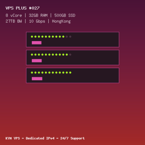 VPS Plus 027 - 8 CORES / 32GB RAM / 500GB SSD - HongKong