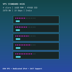 VPS Standard 026 - 4 CORES / 16GB RAM / 490GB SSD - India