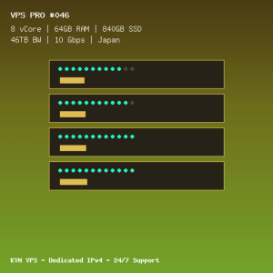 VPS Pro 046 - 8 CORES / 64GB RAM / 840GB SSD - Japan