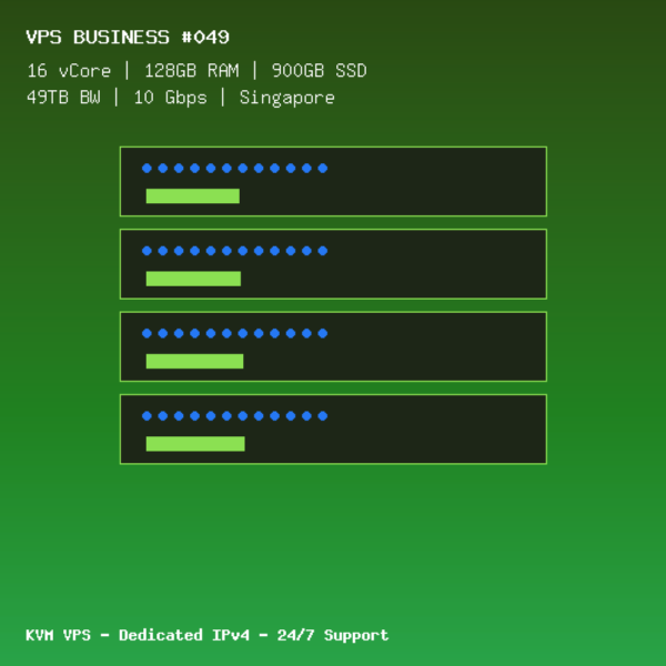 VPS Business 049 - 16 CORES / 128GB RAM / 900GB SSD - Singapore