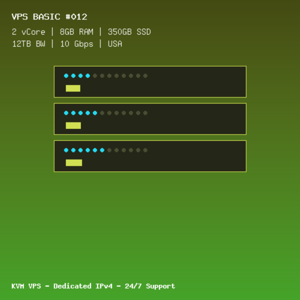 VPS Basic 012 - 2 CORES / 8GB RAM / 350GB SSD - USA